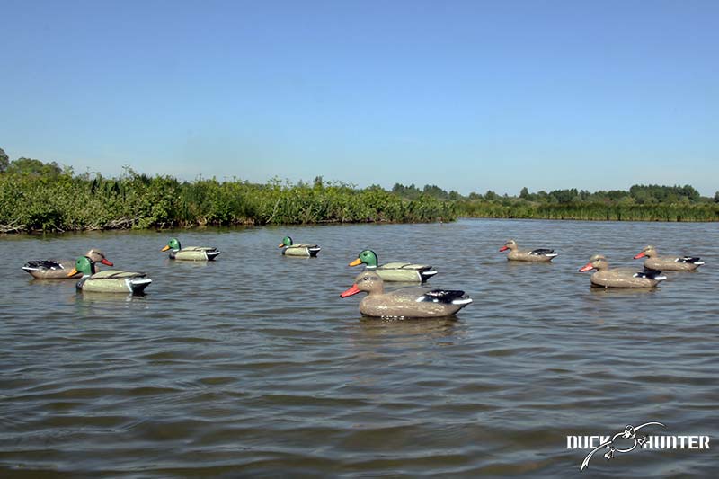 Forme colvert Duck Hunter