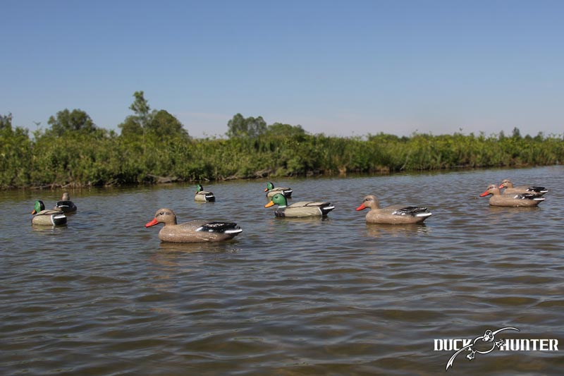 Forme colvert Duck Hunter