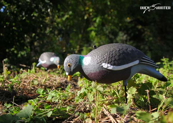 Forme pigeon HD UV Duck Hunter