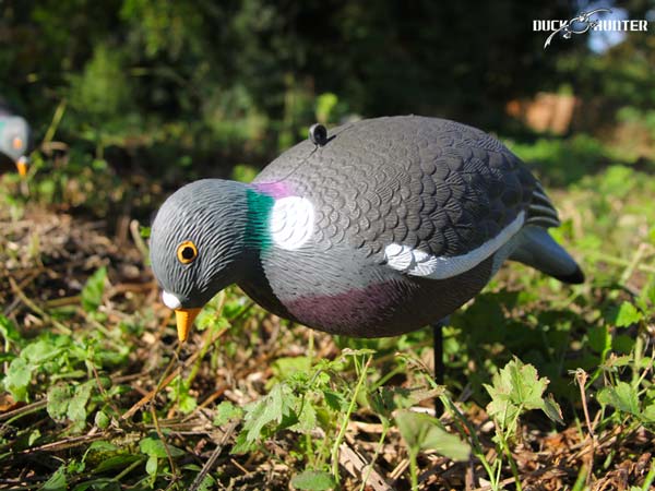 Forme pigeon HD UV Duck Hunter